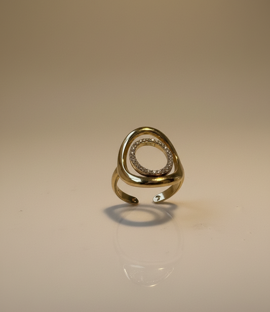 ANILLO DOBLE CIRCULO